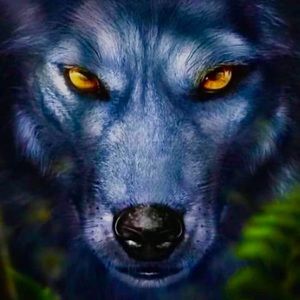 Meet your Posher, Manny